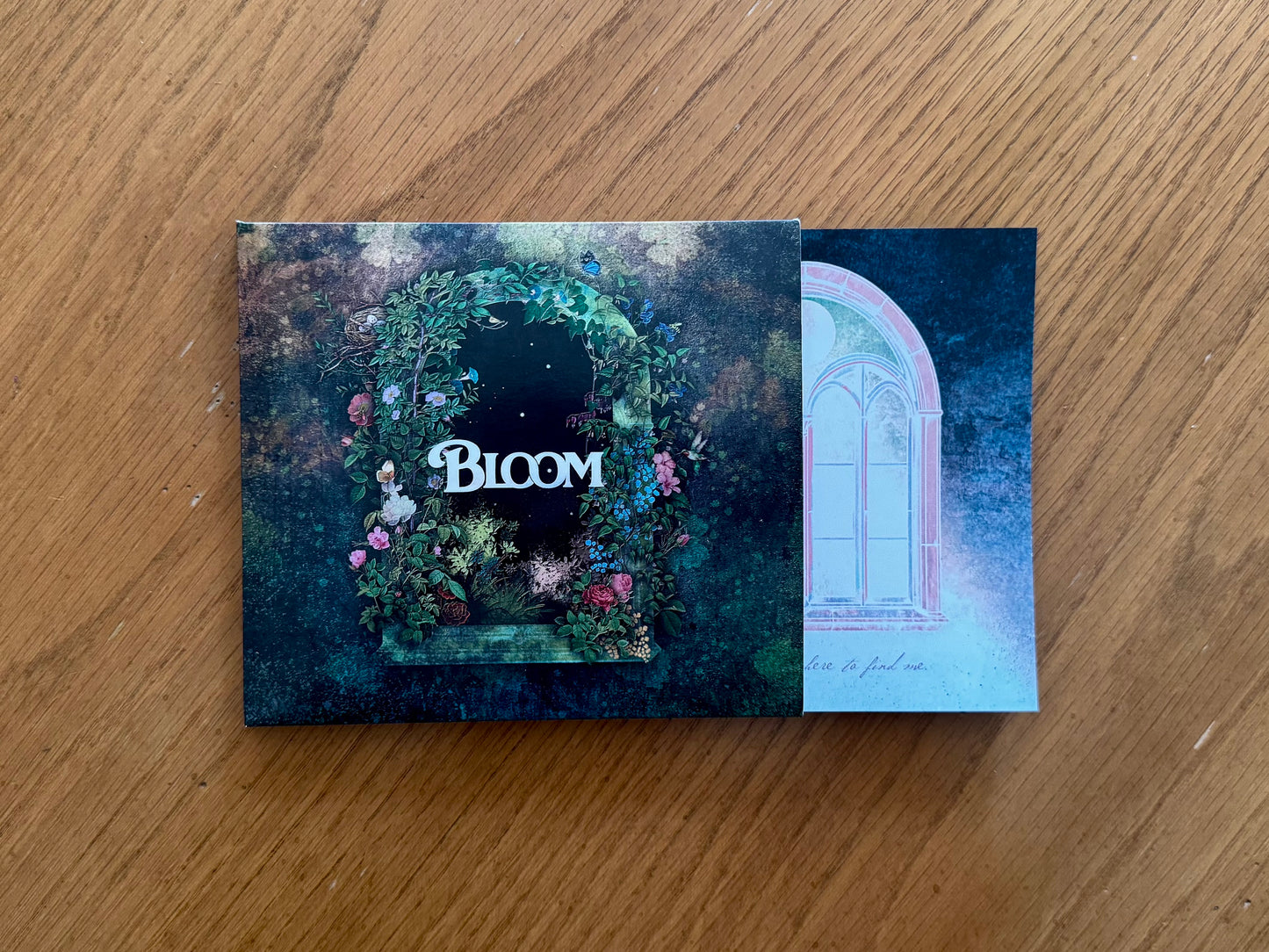 Bloom CD