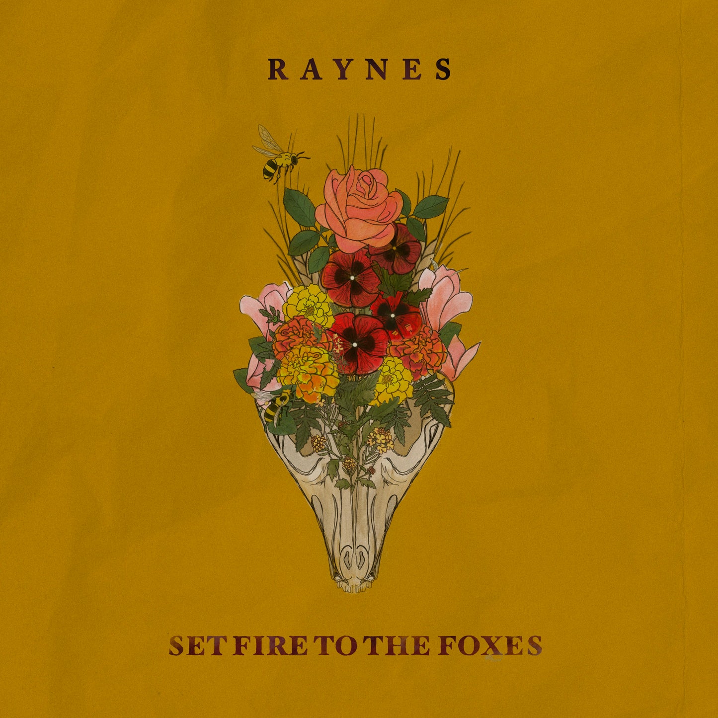 Set Fire to the Foxes CD